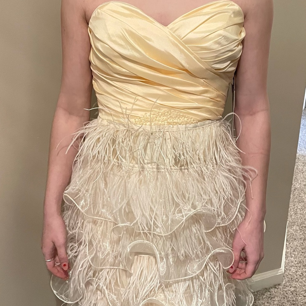 Faux ostrich feather dress